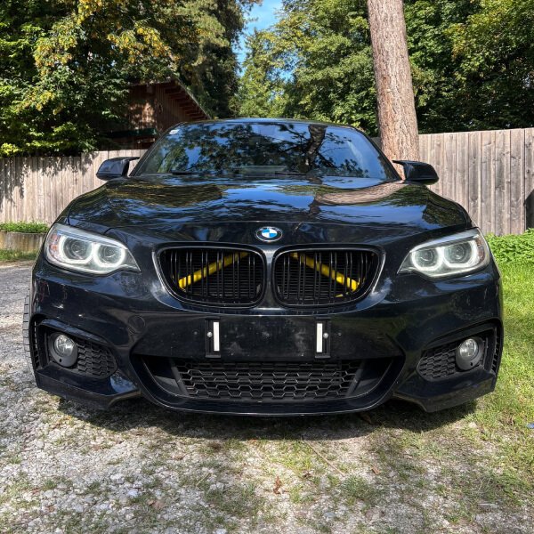 New Project (77) (1) F2X Double-Slat Kidney Grilles